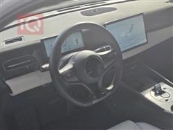 بي واي دي سيل 06 DM-i